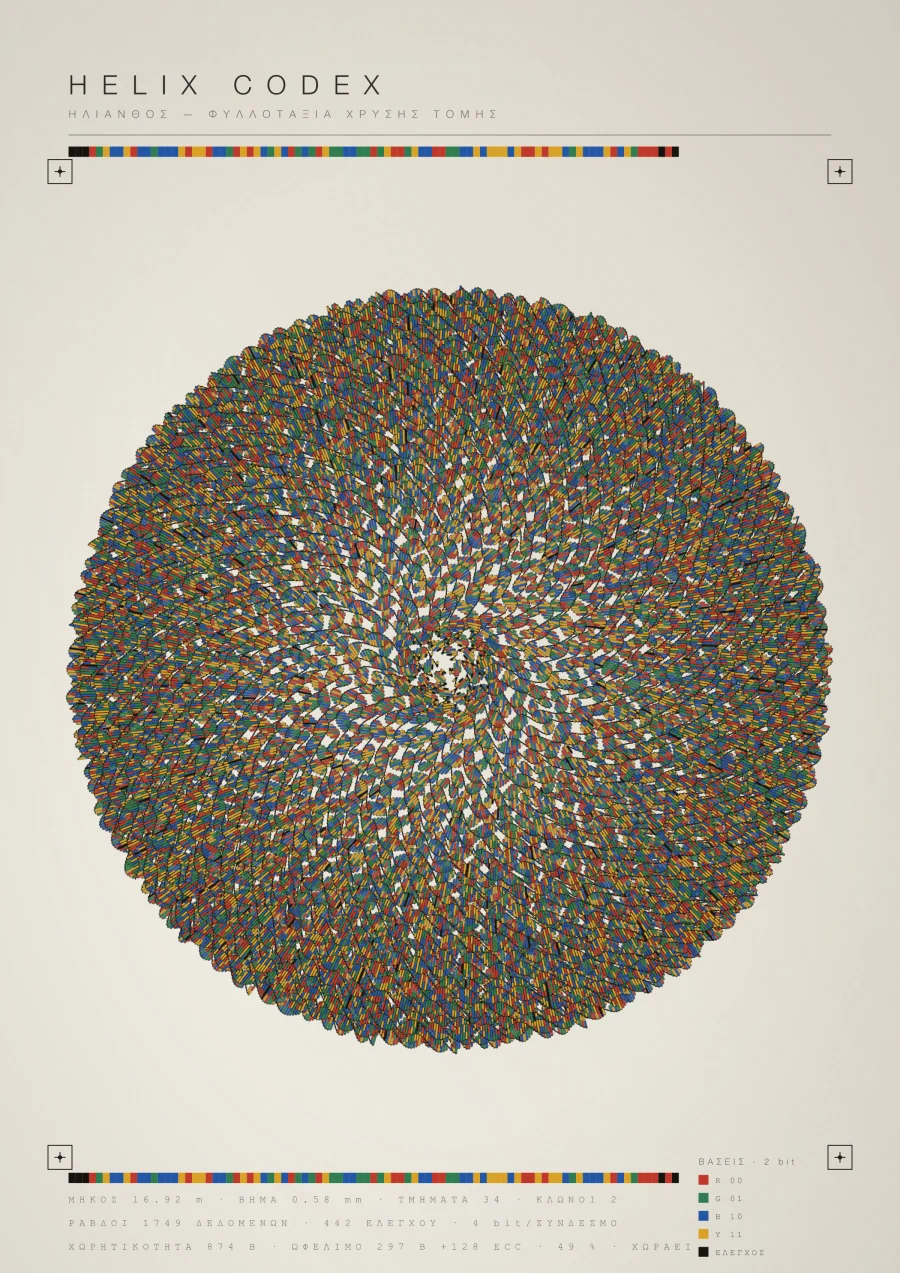 Heliotrope — phyllotaxis · the golden angle